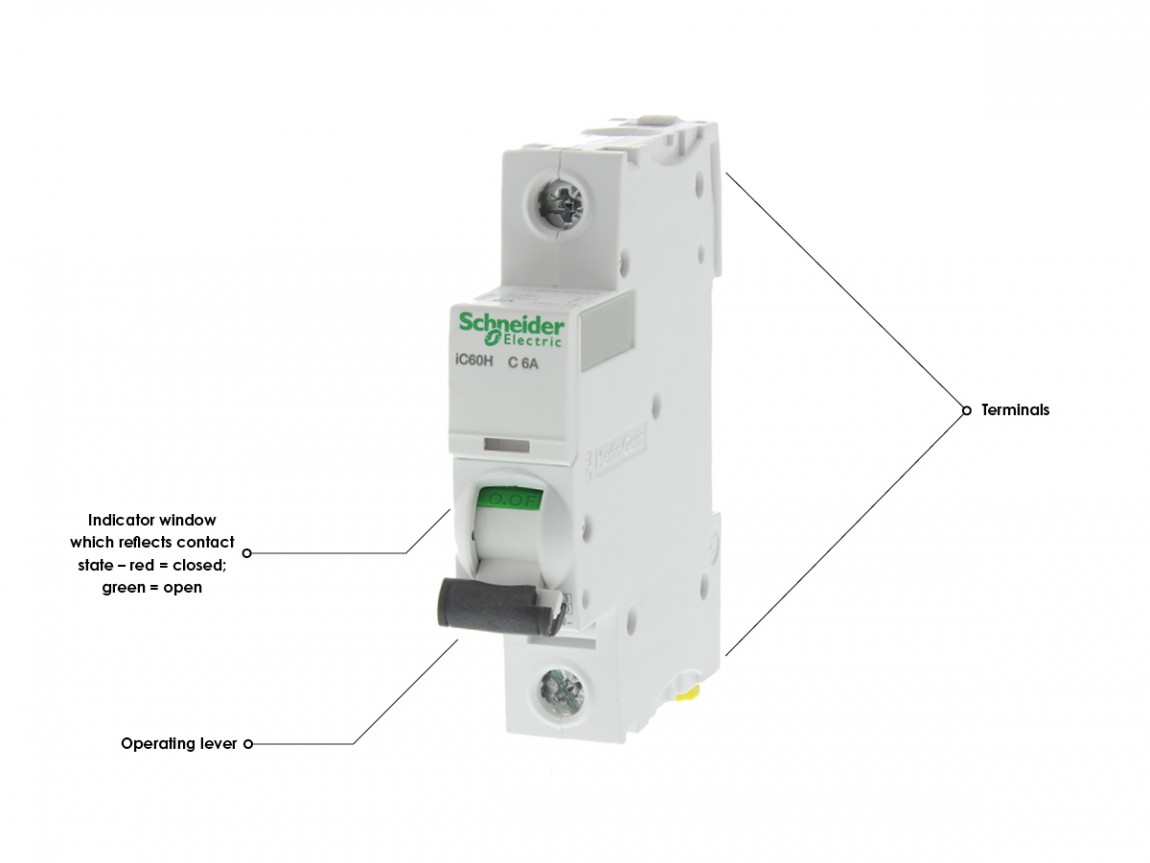 MCB Labelled Diagram