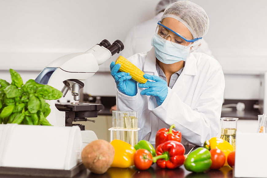 research on food safety and hygiene