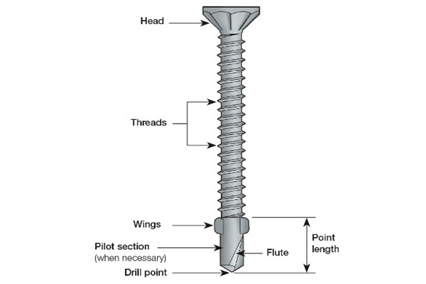 self tapping screw head types