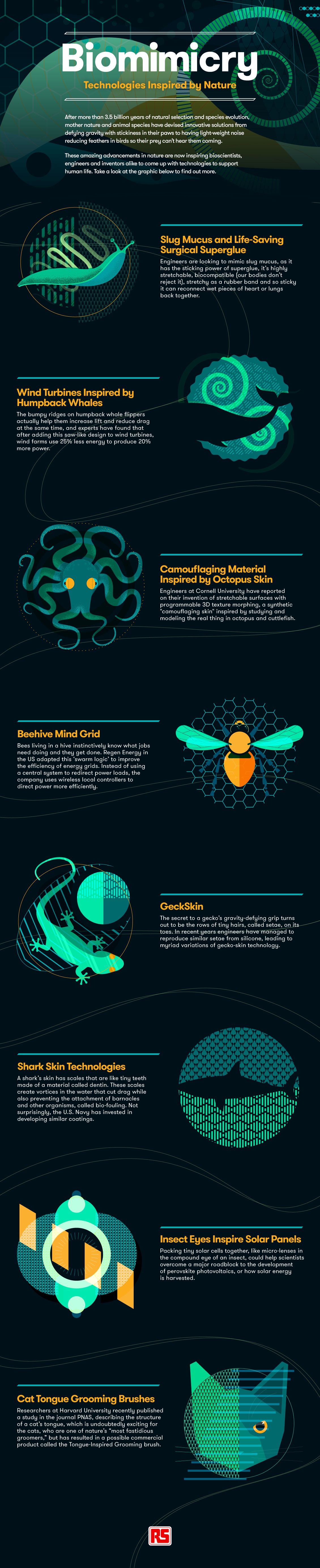 Biomimicry infographic showing technologies inspired by nature